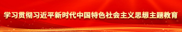 欧洲肥太太黄色片学习贯彻习近平新时代中国特色社会主义思想主题教育